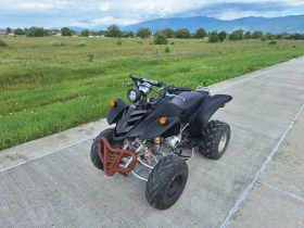 Bashan BS 250, снимка 8