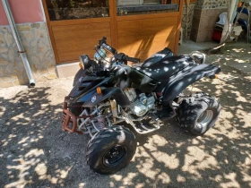 Bashan BS 250, снимка 10