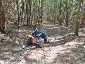 Bashan BS 250, снимка 4