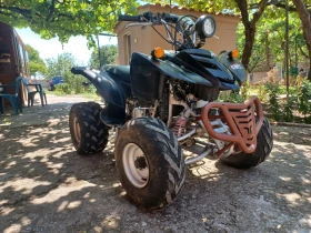 Bashan BS 250, снимка 8