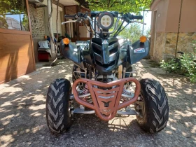 Bashan BS 250, снимка 9