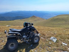 Bashan BS 250, снимка 2