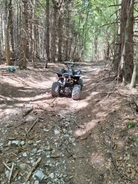 Bashan BS 250, снимка 3