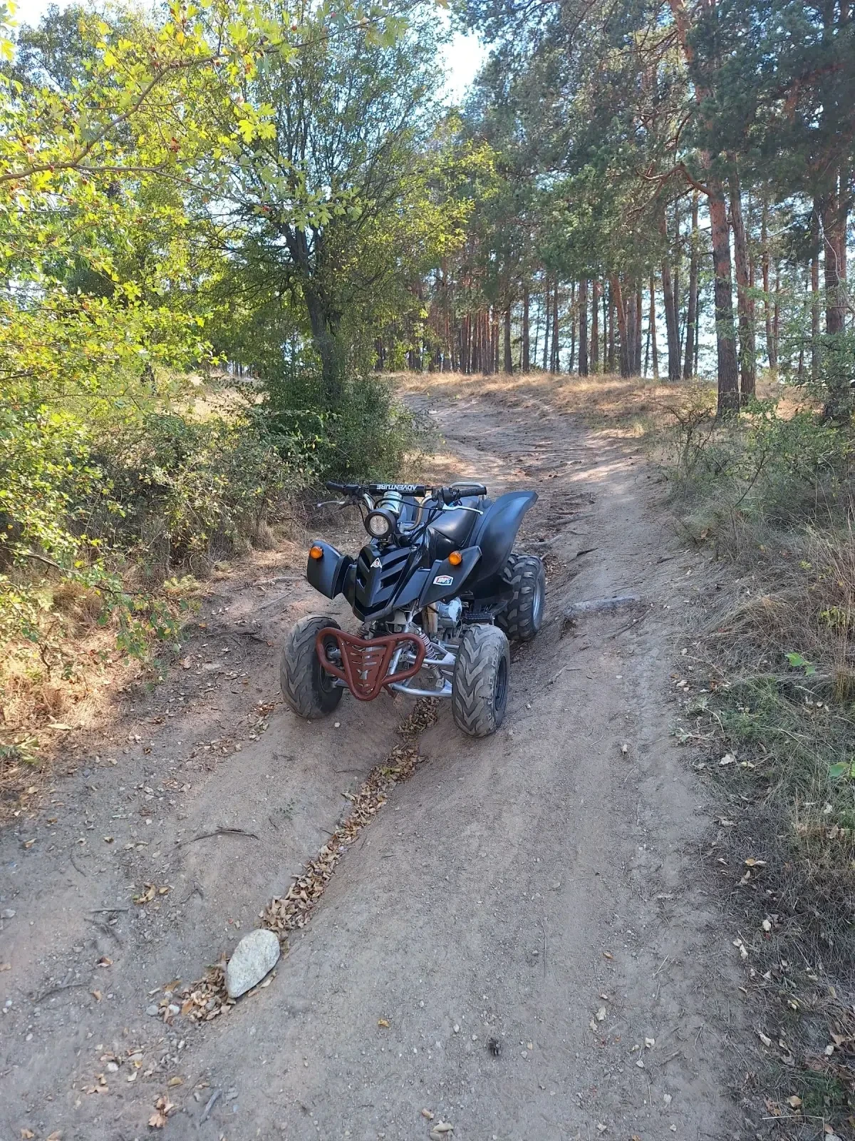 Bashan BS 250 | Mobile.bg   1