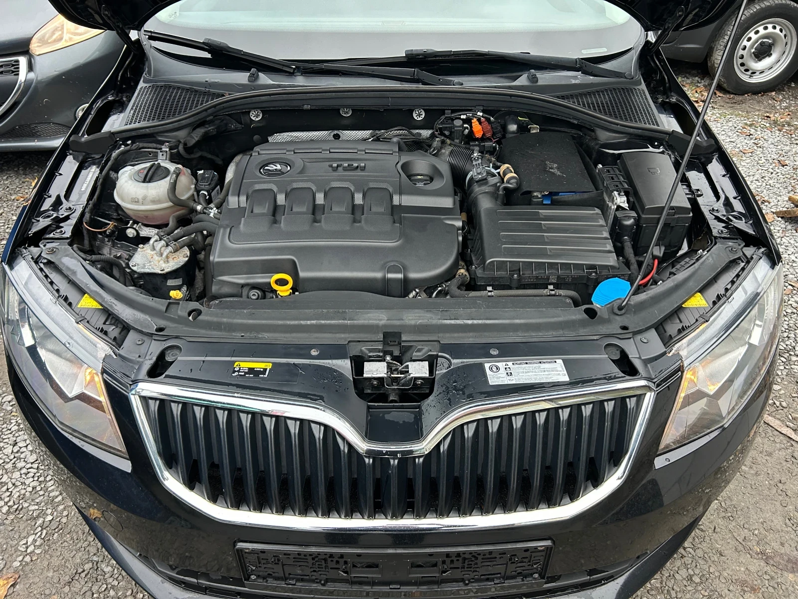 Skoda Octavia 1.6TDI 110k.c. ��������� | Mobile.bg � ����������� 15
