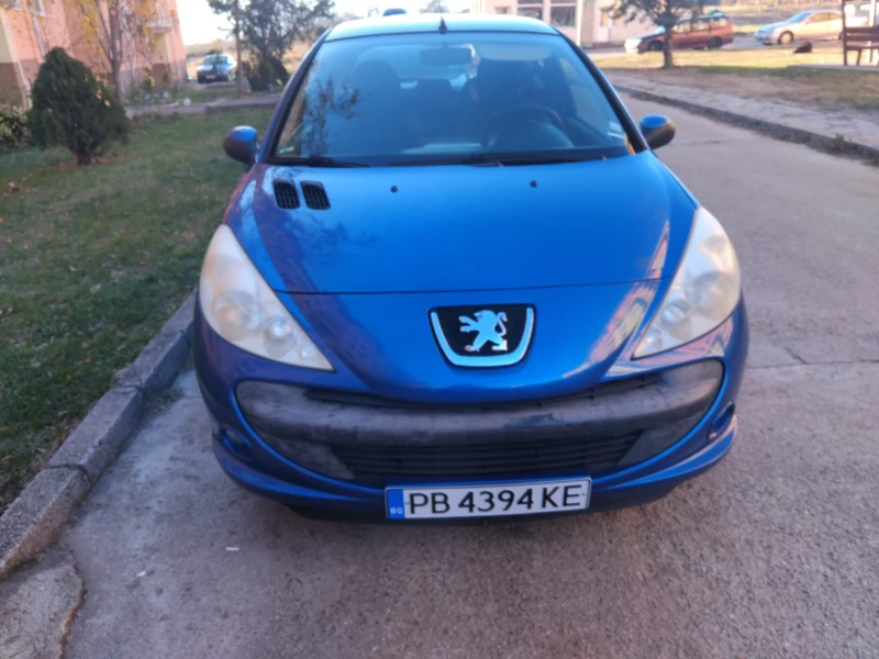 Peugeot 206 206+ , снимка 6 - Автомобили и джипове - 48115662