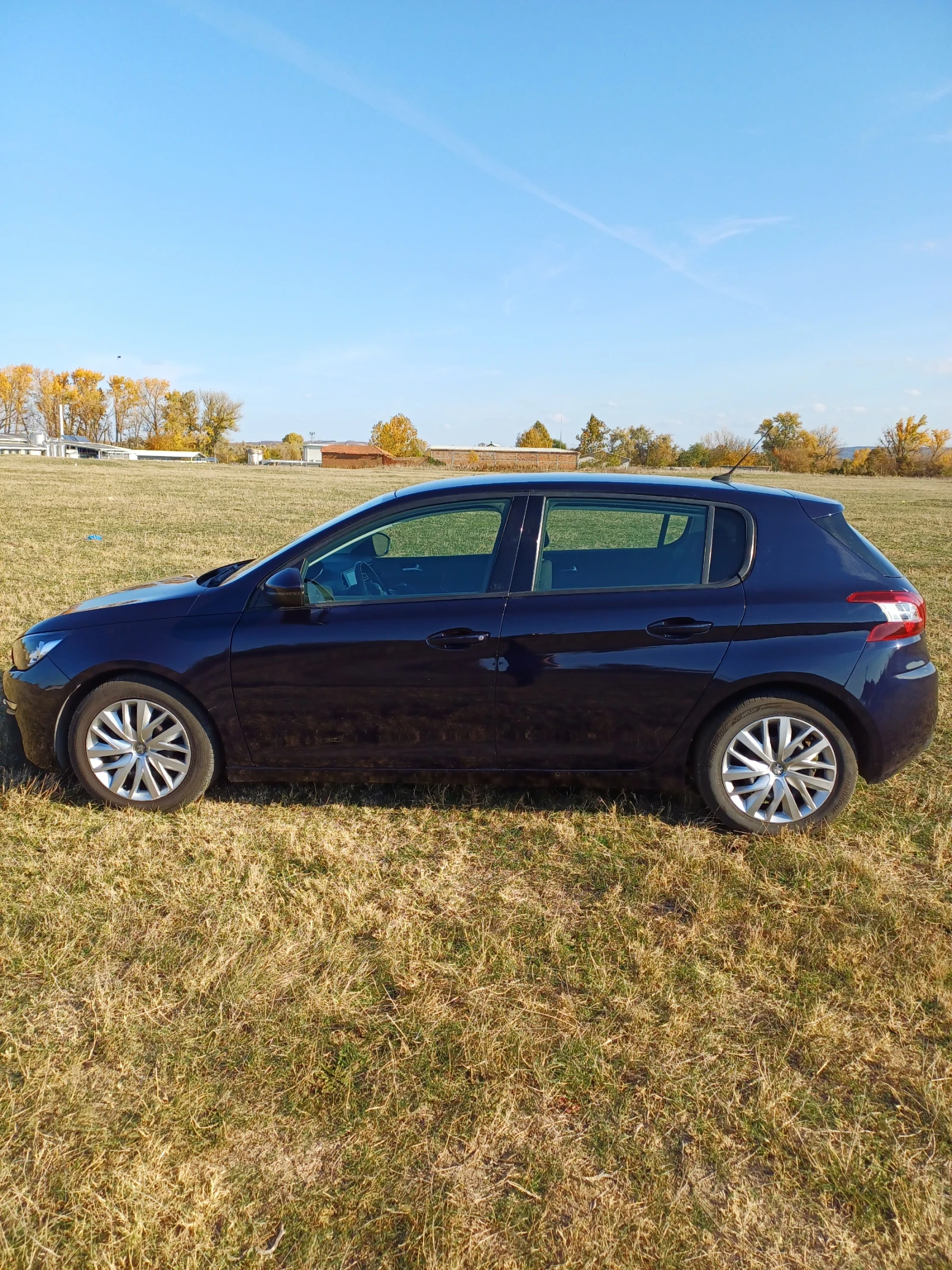 Peugeot 308 1.6 bluehdi - изображение 4