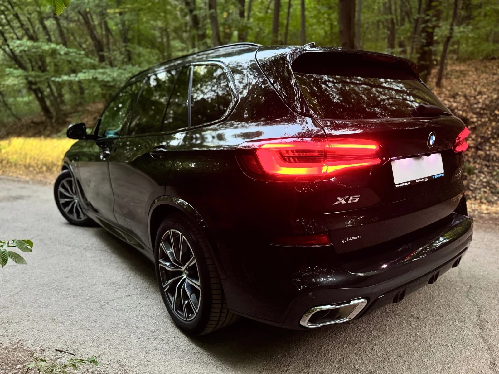 BMW X5 G05 45e Plug-in, снимка 6 - Автомобили и джипове - 55839335