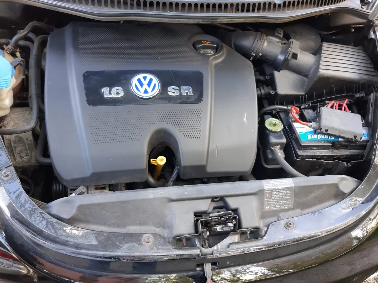 VW Beetle кабриолет - изображение 5