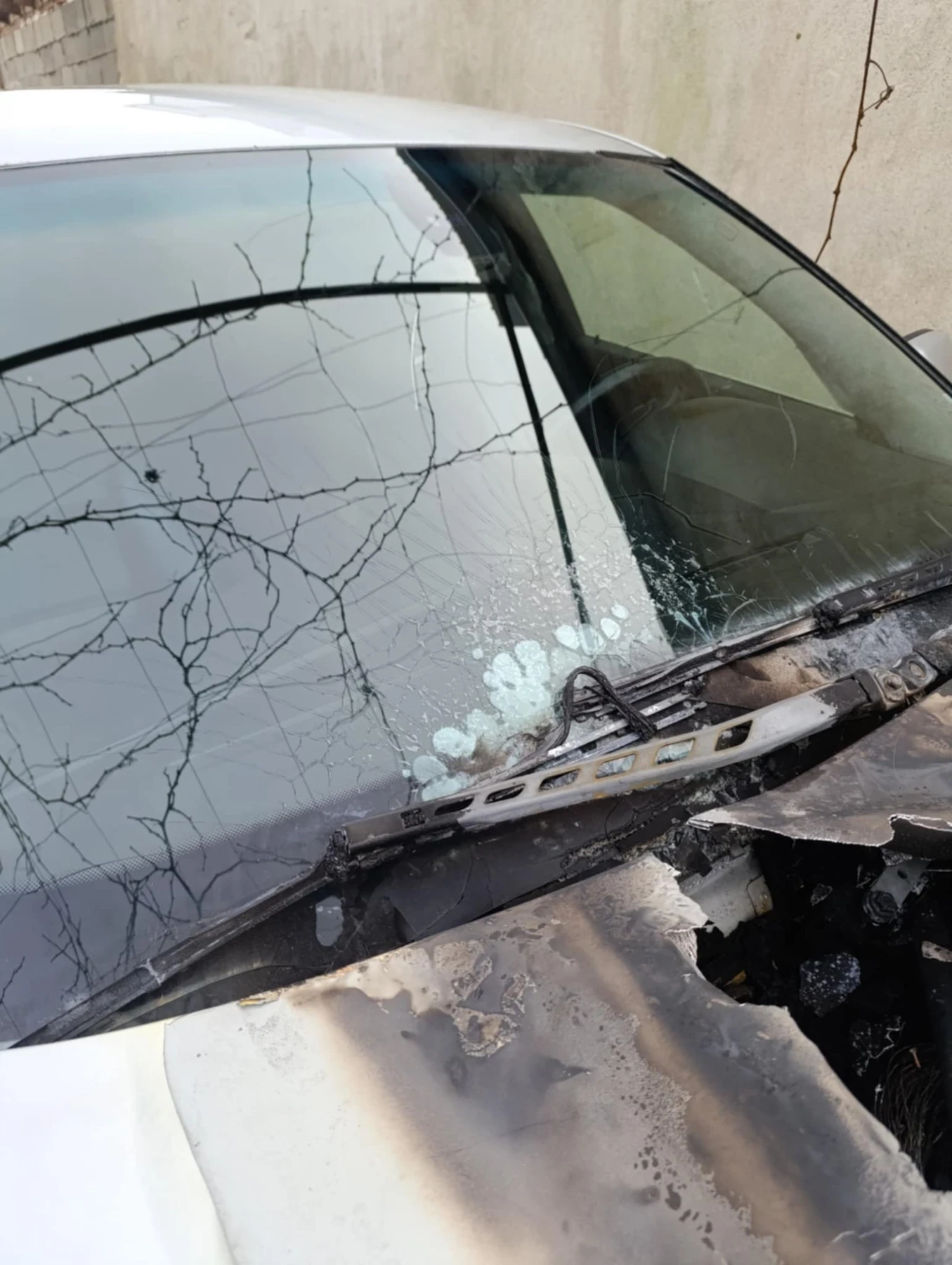 BMW 520, снимка 4 - Автомобили и джипове - 55292395