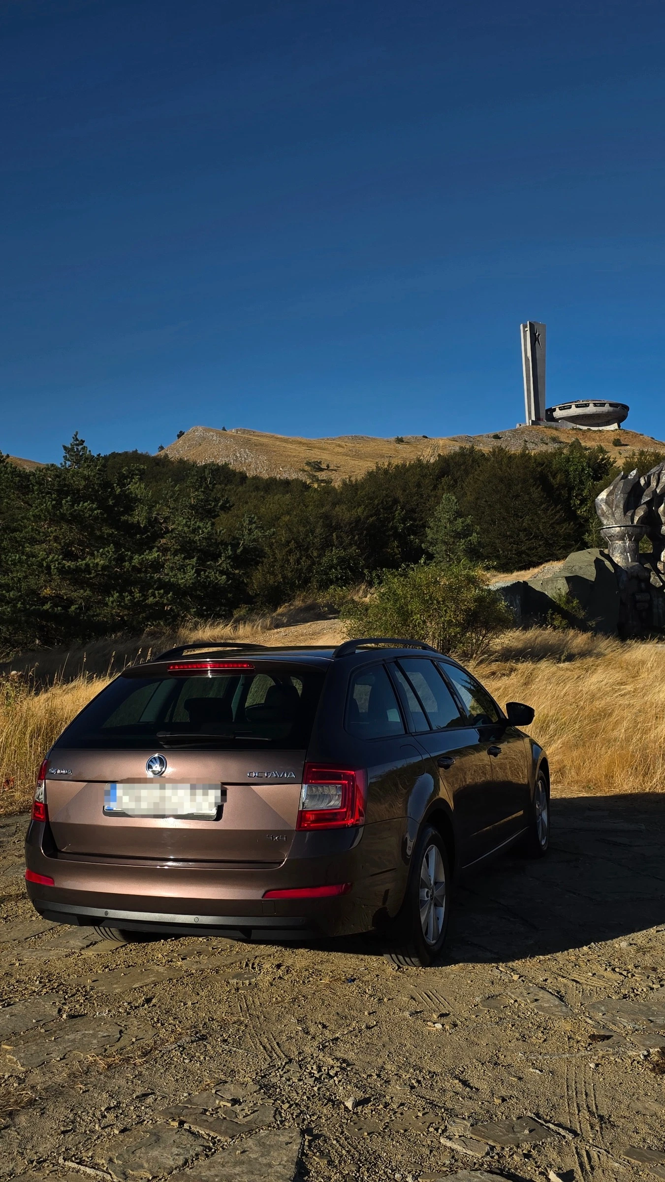 Skoda Octavia 4x4 /  товарен, снимка 8 - Автомобили и джипове - 56012286