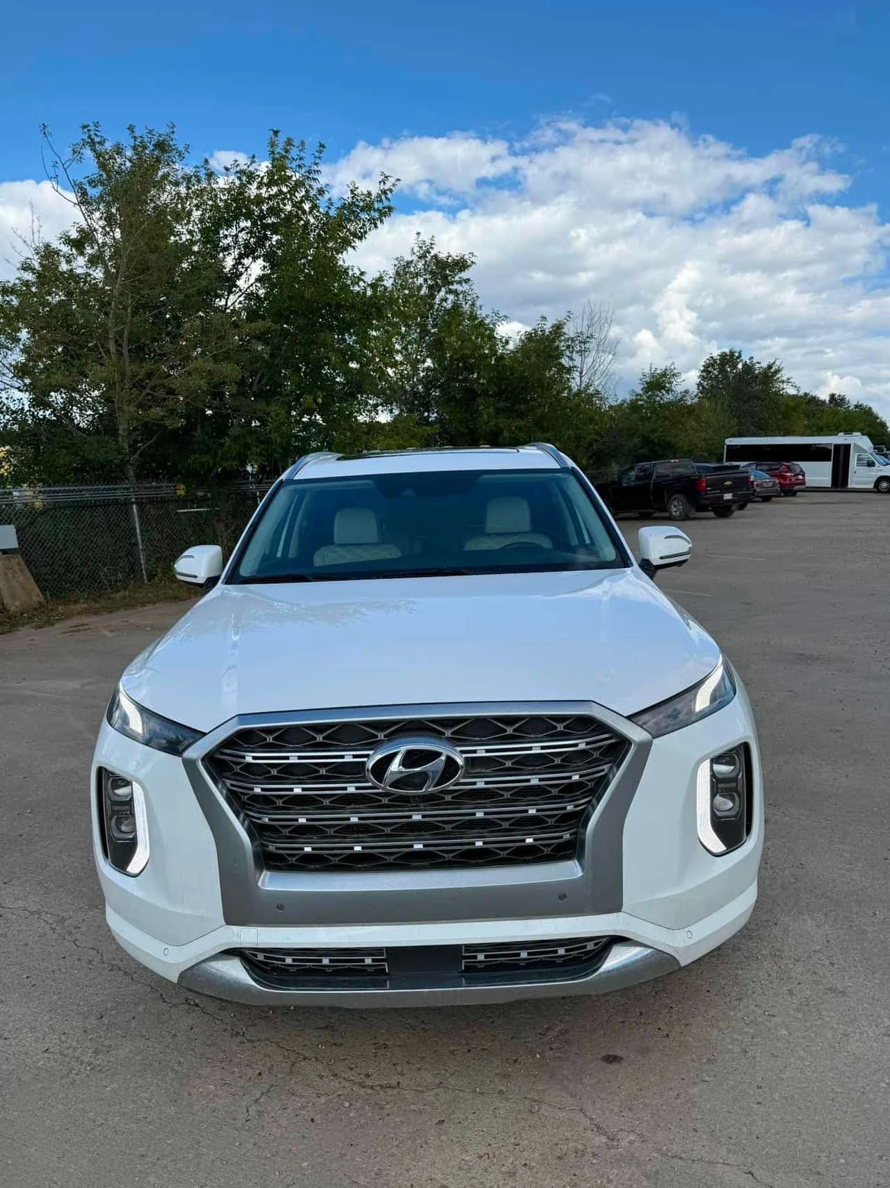 Hyundai Palisade  Ultimate / 360 / DIS / HUD /Harman Kardon /CARFAX