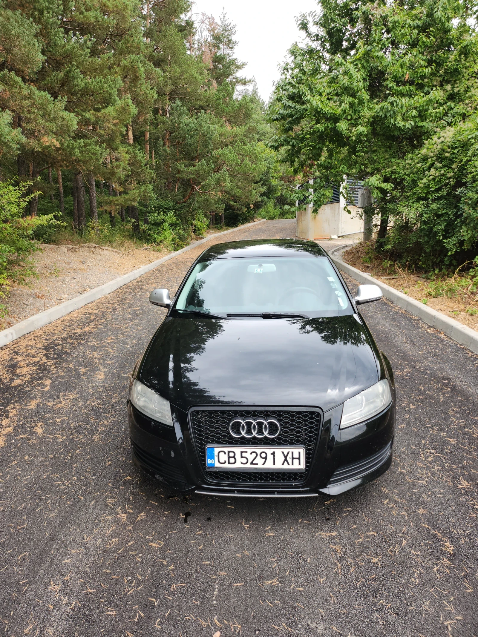 Audi A3 SPORTBAK Quattro Slain 4x4 - изображение 2