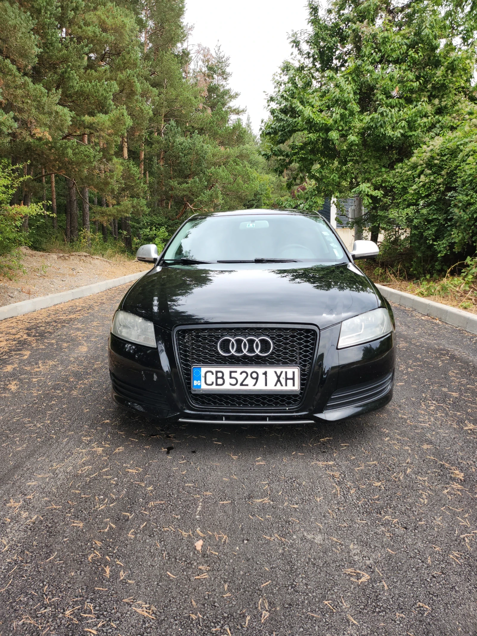 Audi A3 SPORTBAK Quattro Slain 4x4 - изображение 2