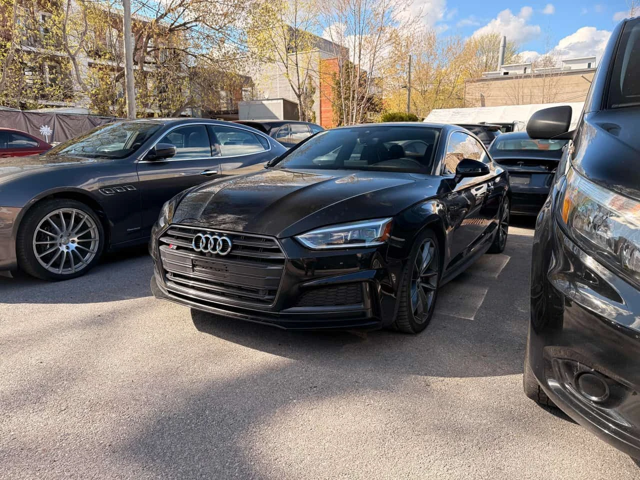 Audi S5 Technik| 360| ШИБЕДАХ| BANG&OLUFSEN| CARFAX