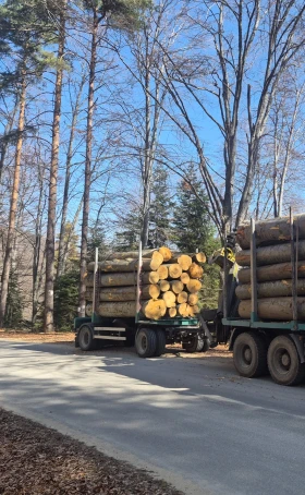 За камион Други За Трупи Ресъори, снимка 7