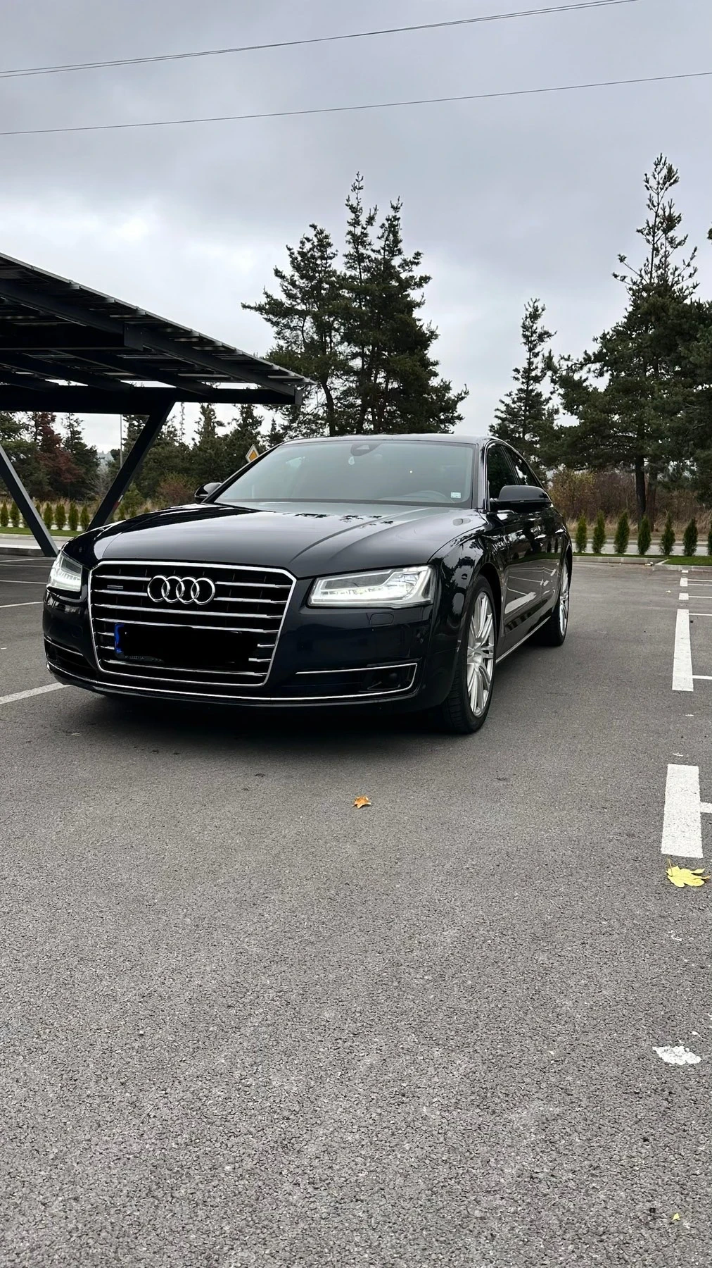 Audi A8