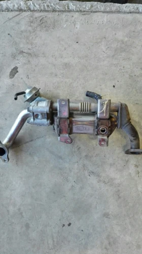 ������ ������� ������� ����...