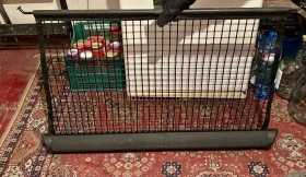 Щори, снимка 3