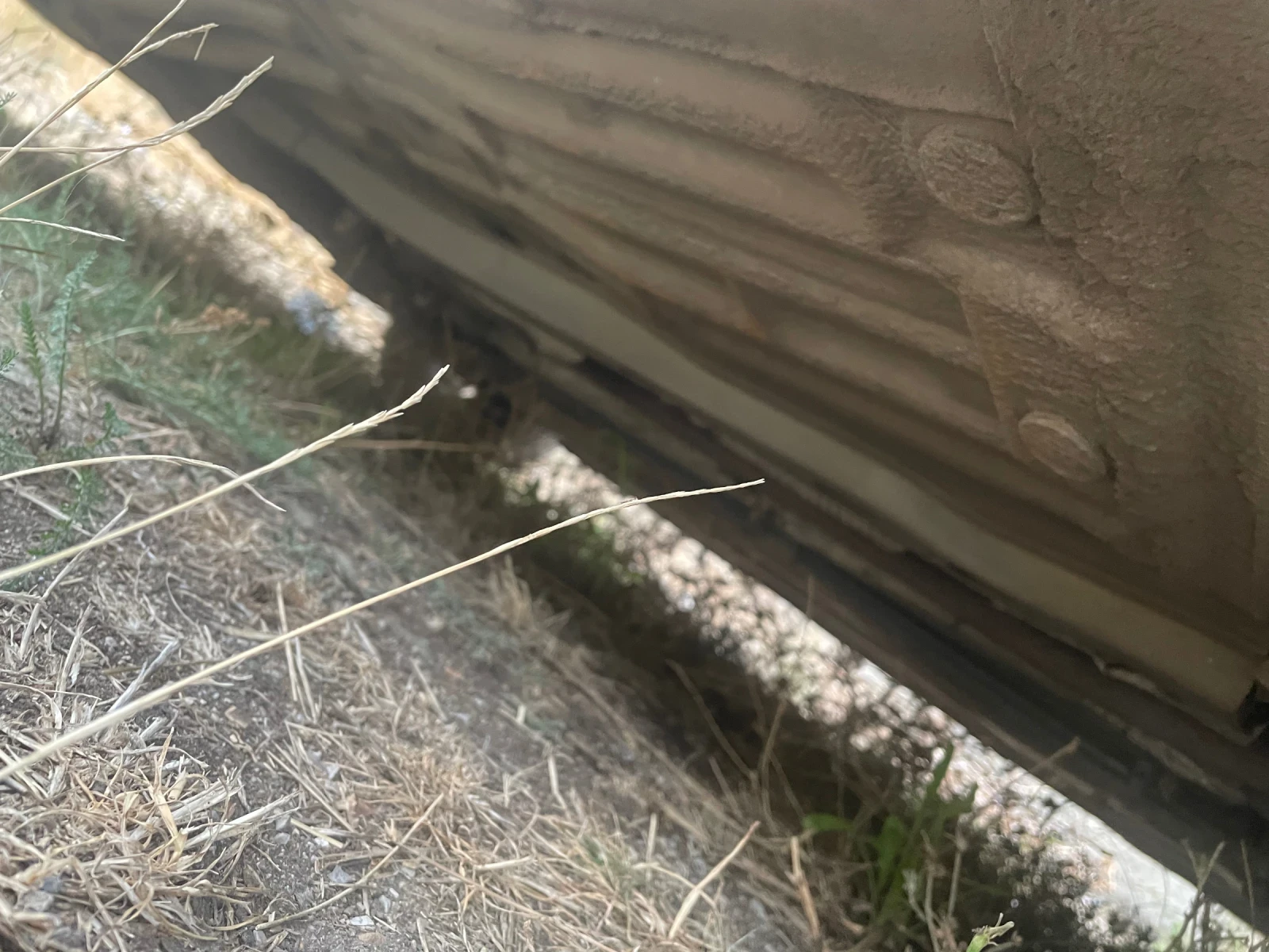 Ford Focus, снимка 8 - Автомобили и джипове - 56279366