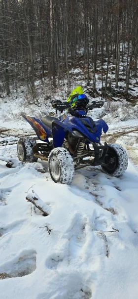 Yamaha Raptor, снимка 2