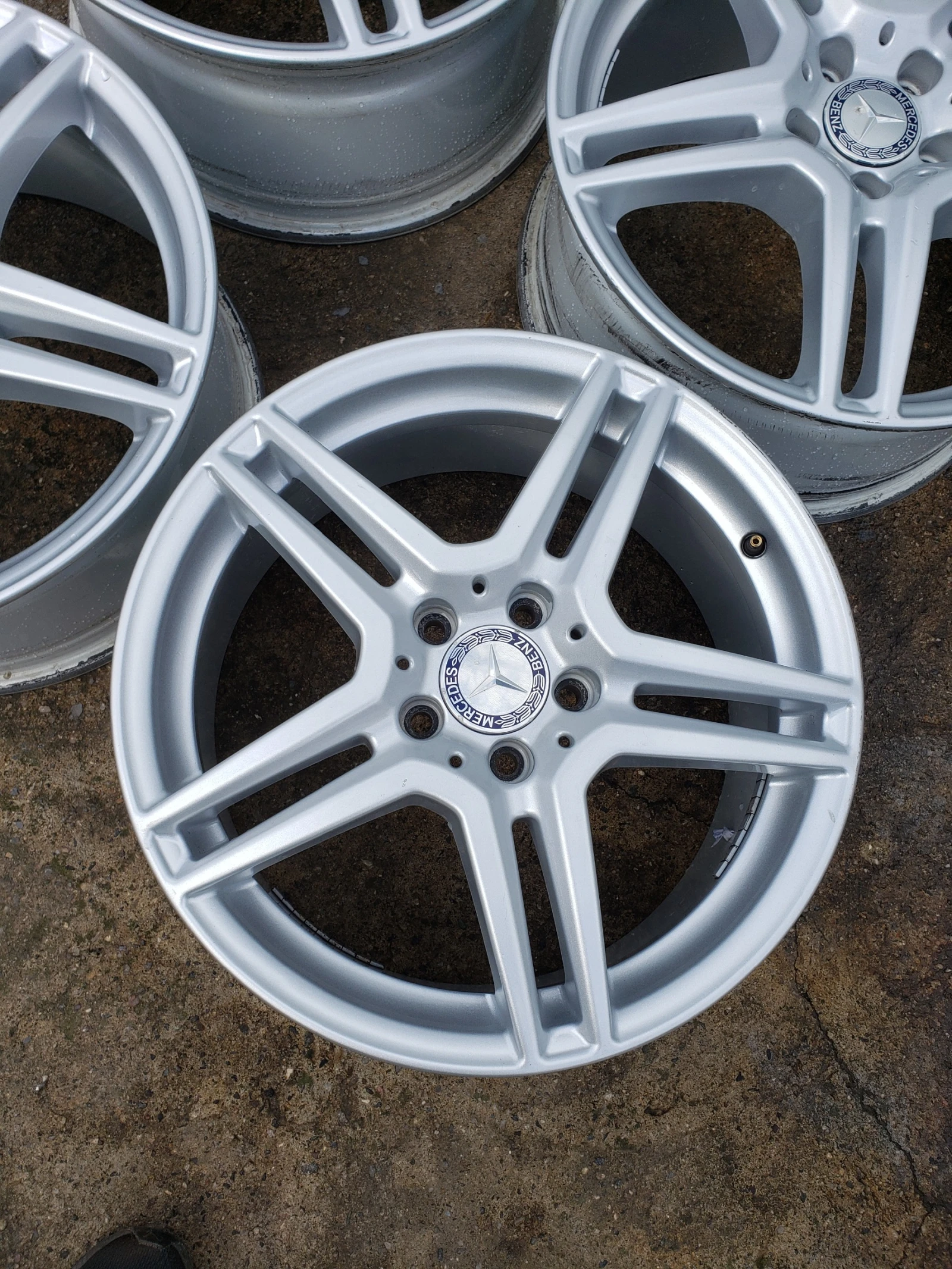 ������ | Mobile.bg � ����������� 6