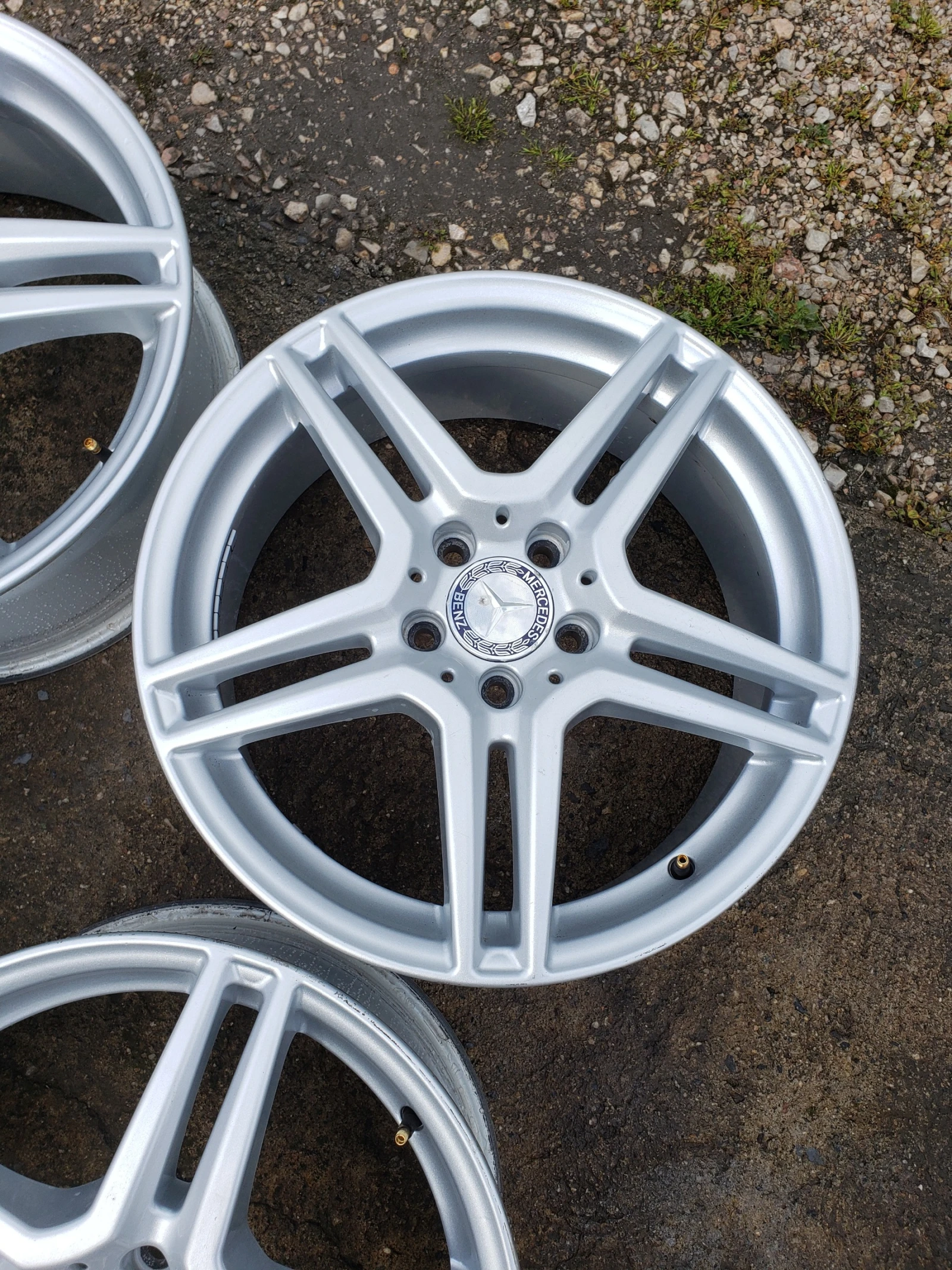 ������ | Mobile.bg � ����������� 7