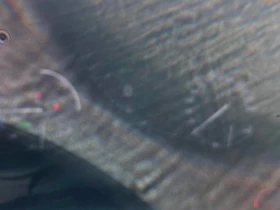 Toyota Sienna * AWD * CARFAX * БЕЗ ПЪРВОНАЧАЛНА ВНОСКА, снимка 8