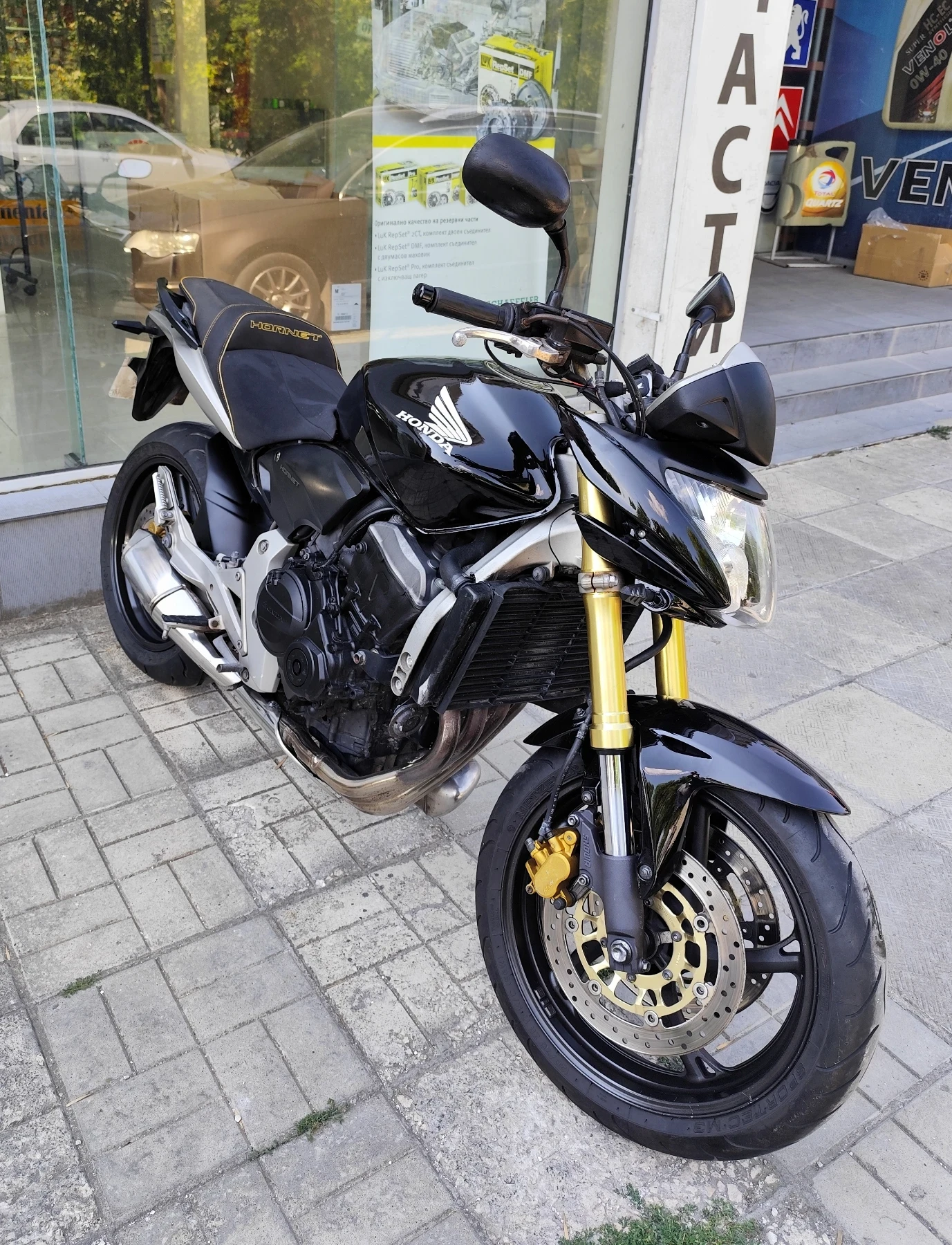 Honda Hornet 600 - изображение 2