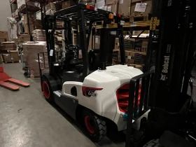      Bobcat D30NXP