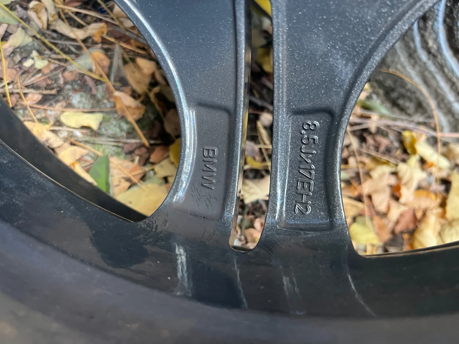 ������ | Mobile.bg � ����������� 6