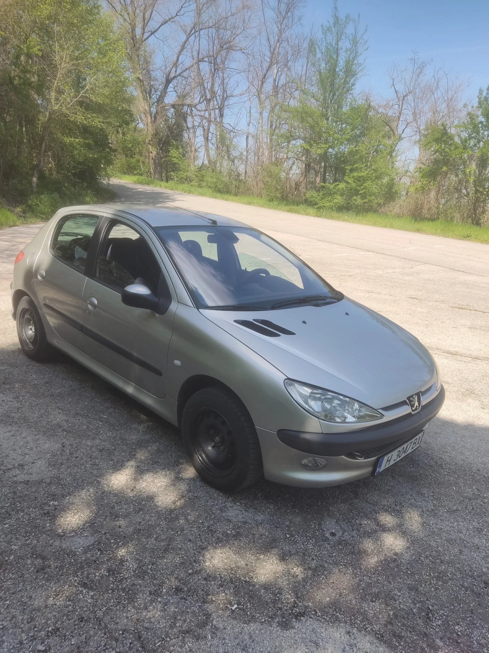 Peugeot 206 1.1i - изображение 6