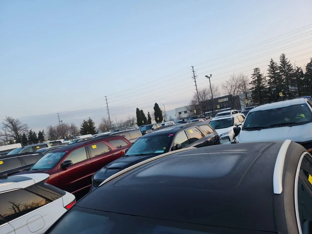 Audi Q5 TECHNIK/DISTRONIC/360/B&O/AMBIENT LIGHTS , снимка 7 - Автомобили и джипове - 54060539