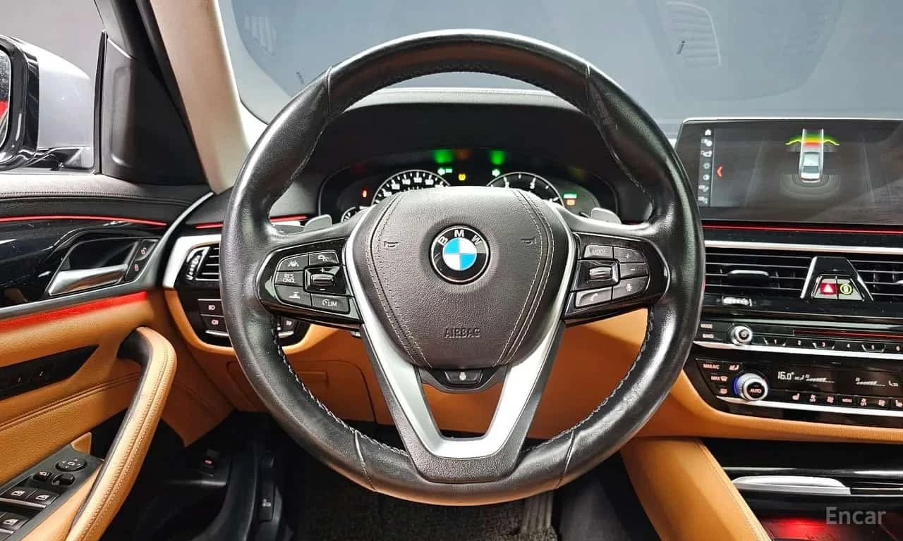 BMW 520  Luxury Special Edition * БЕЗ ПЪРВОНАЧАЛНА , снимка 12 - Автомобили и джипове - 56211513