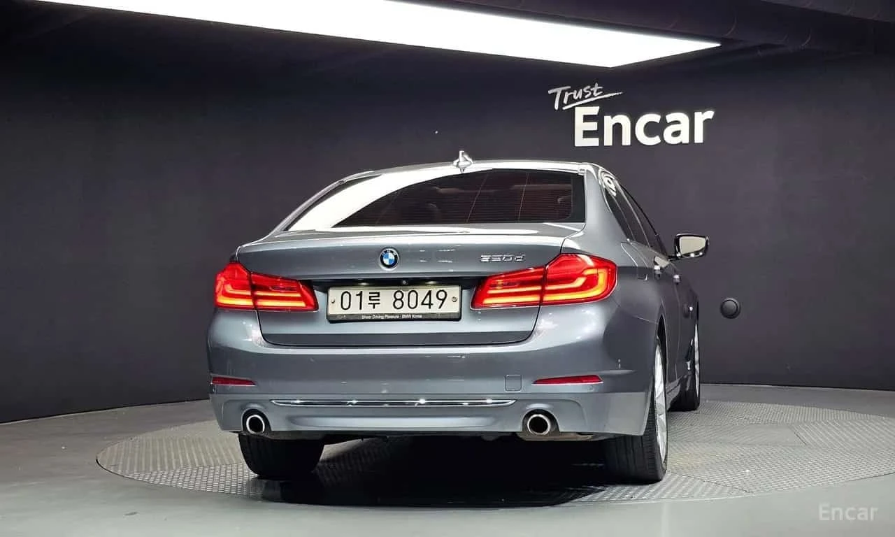 BMW 520  Luxury Special Edition * БЕЗ ПЪРВОНАЧАЛНА , снимка 4 - Автомобили и джипове - 56211513