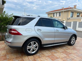     Mercedes-Benz ML 250