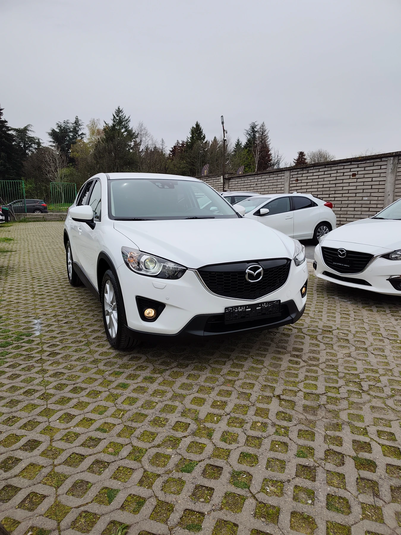 Mazda CX-5 2.0 benzin executive , снимка 4 - Автомобили и джипове - 54226338