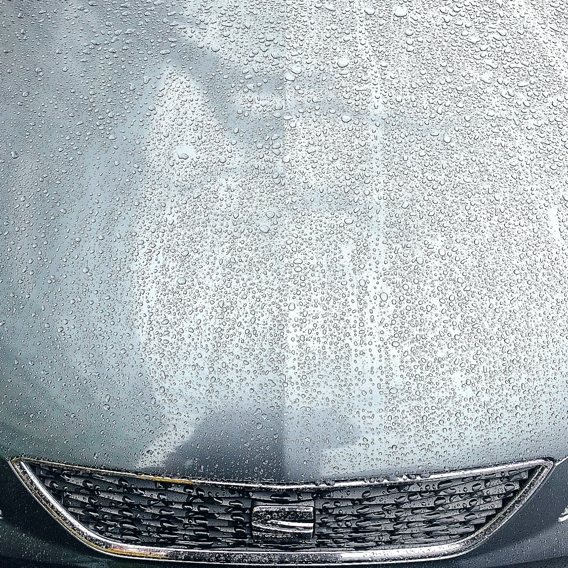 Seat Leon 2.0 TDI DSG, снимка 8 - Автомобили и джипове - 53903819