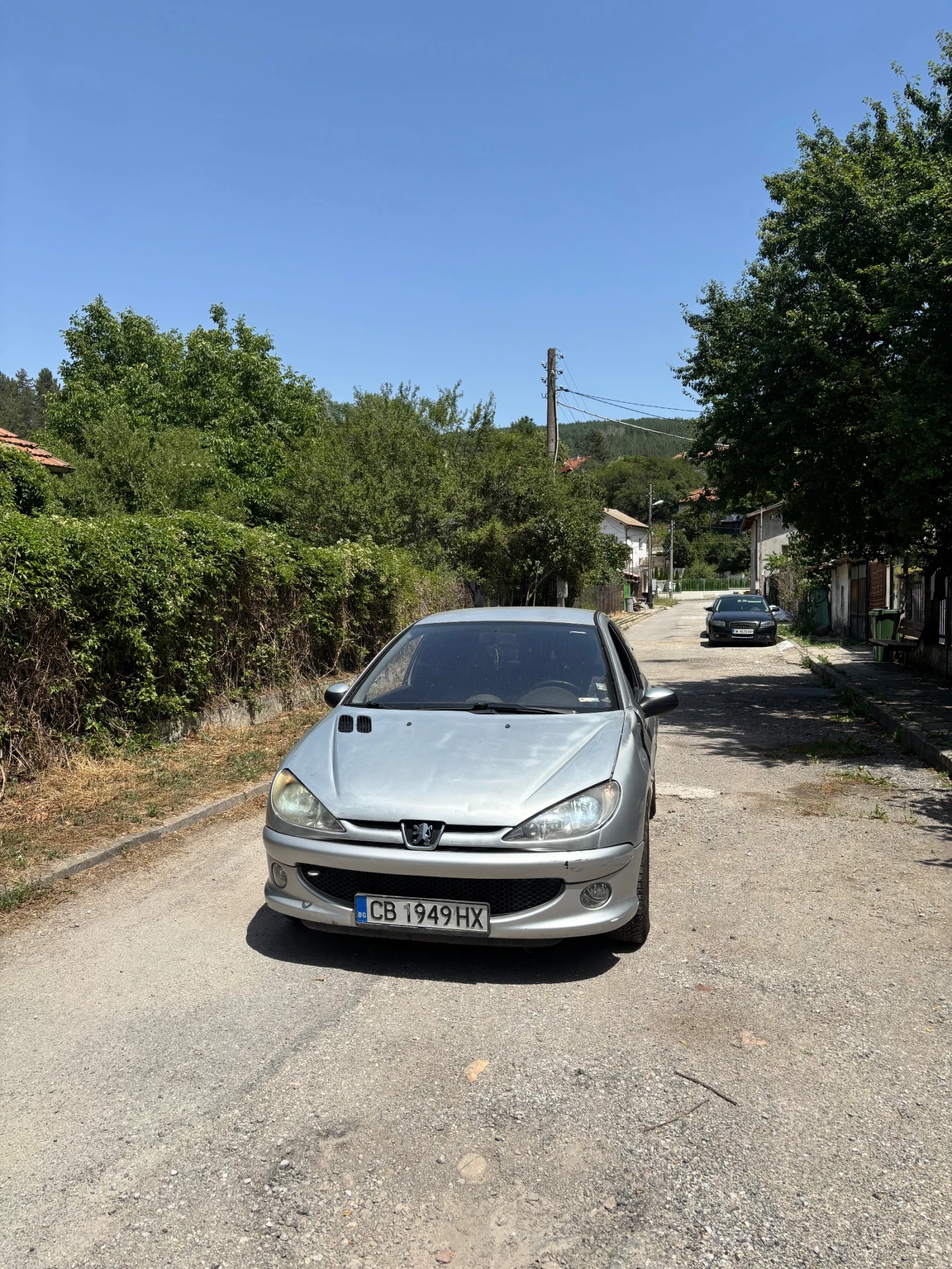 Peugeot 206 Quicksilver - изображение 9