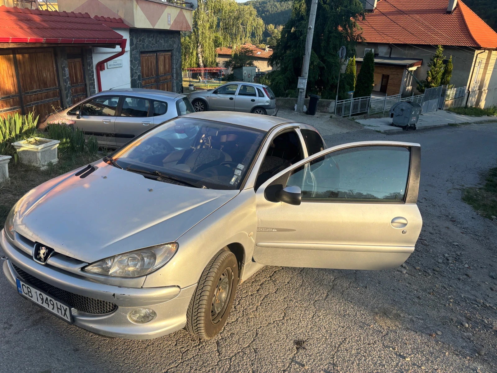 Peugeot 206 Quicksilver - изображение 2