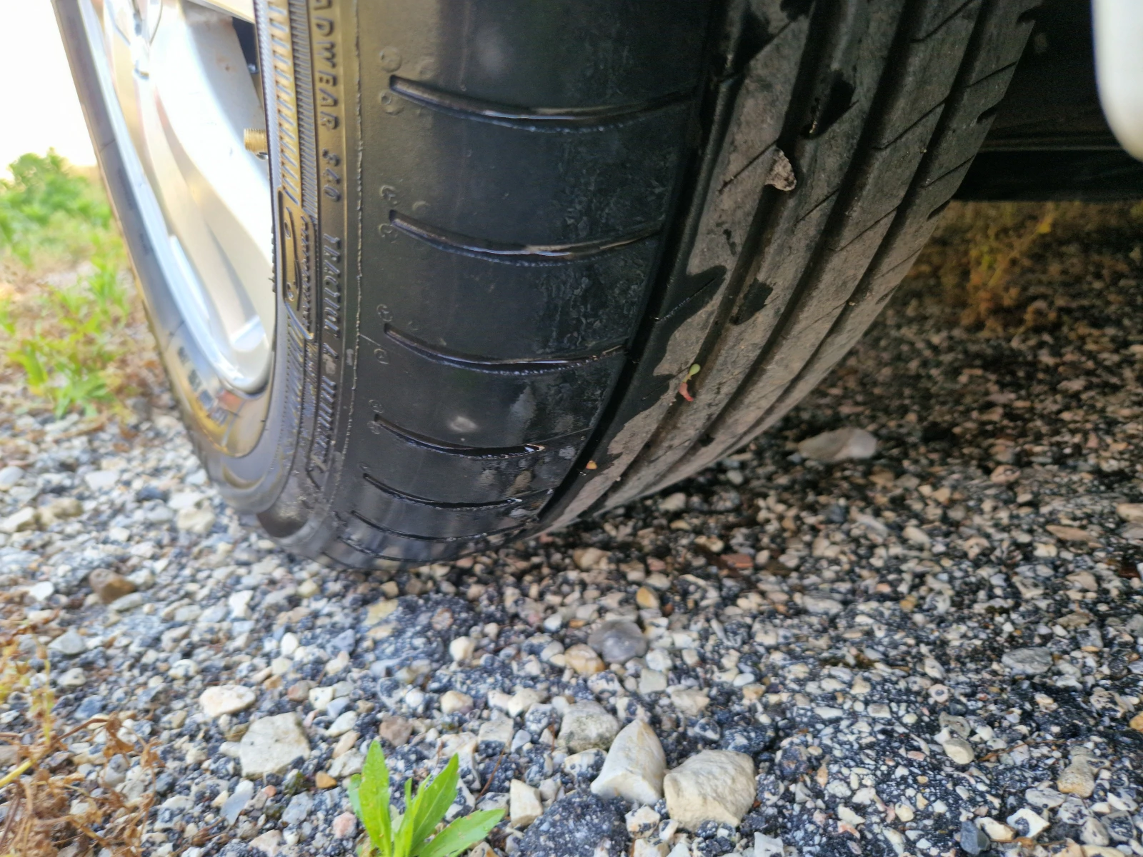 Renault Scenic 2.0D ���������! 169000��!!! | Mobile.bg � ����������� 15