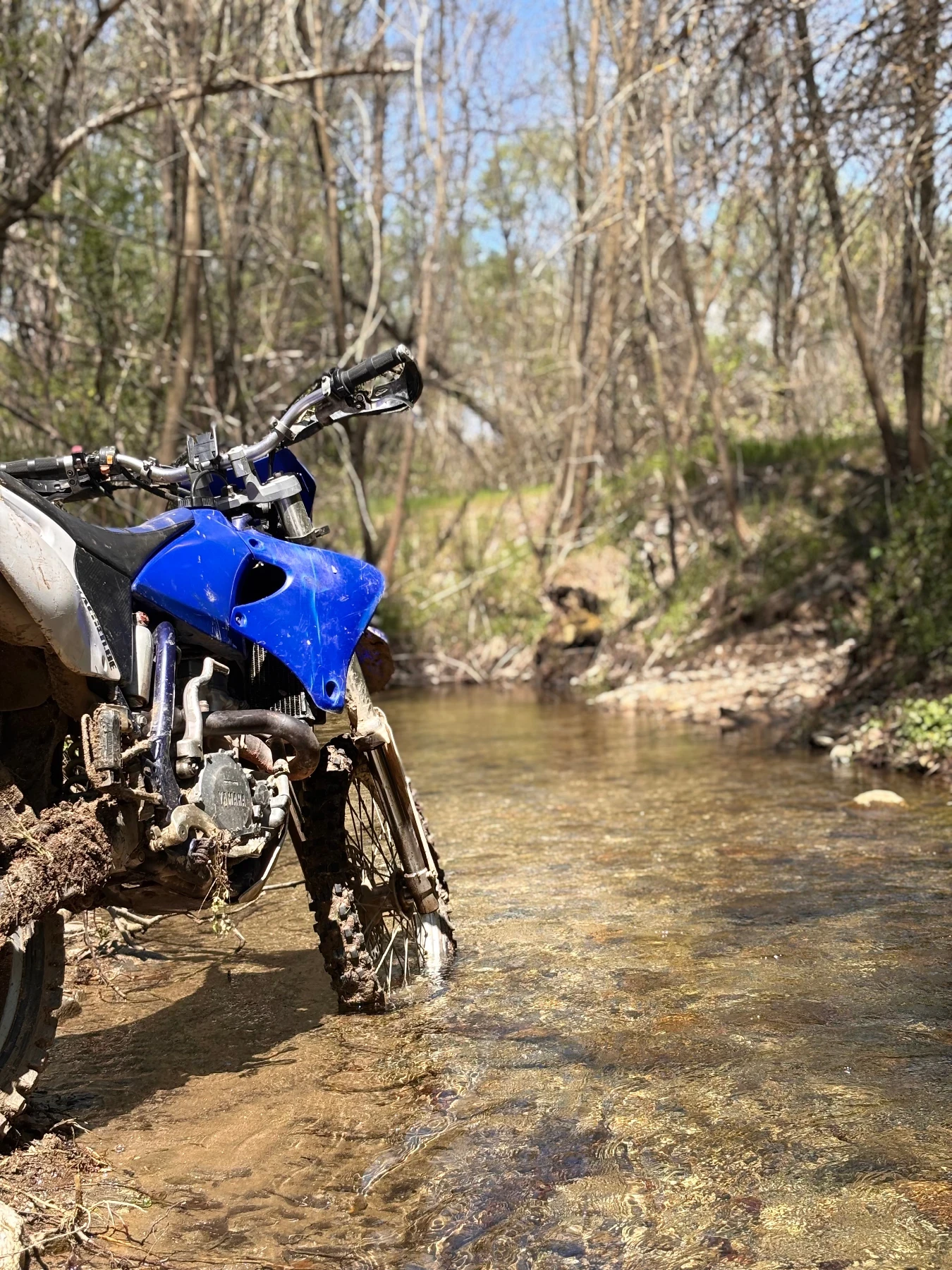 Yamaha Wr
