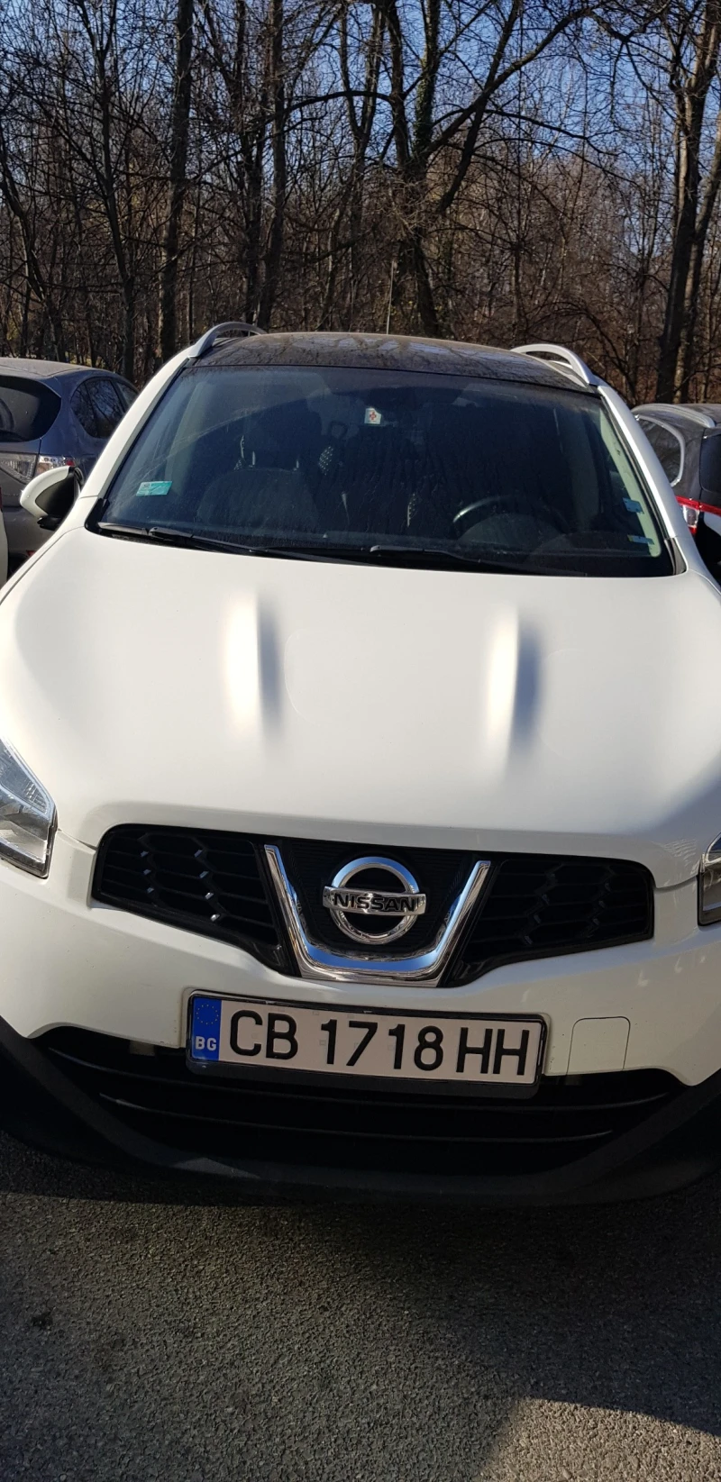 Nissan Qashqai, снимка 2 - Автомобили и джипове - 47363049