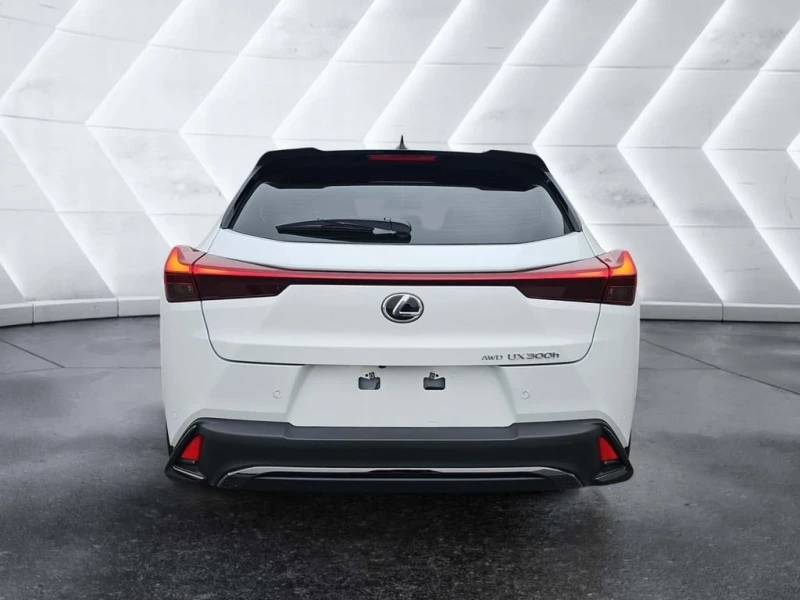 Lexus UX 300h F SPORT Handling CVT  CARFAX, снимка 4 - Автомобили и джипове - 53262570