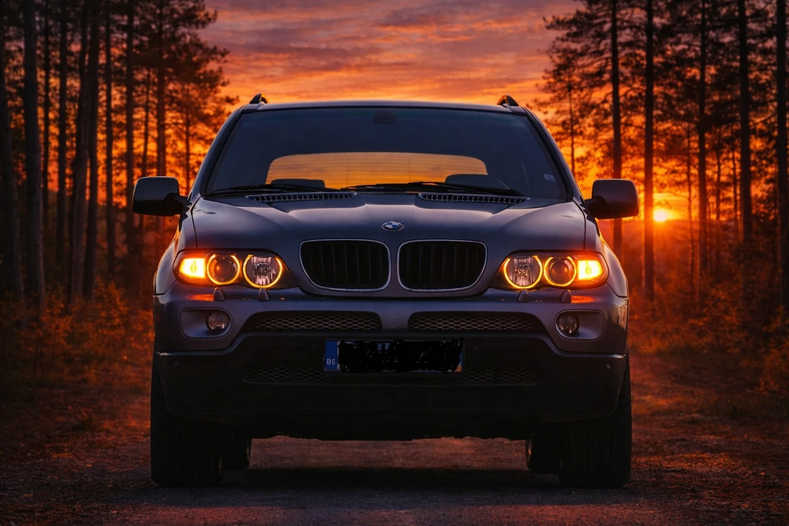 BMW X5  - изображение 2