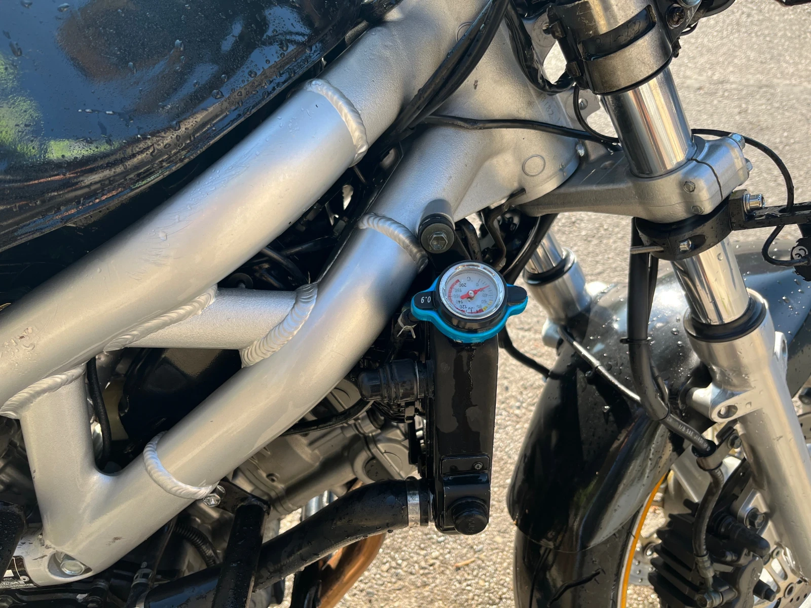 Suzuki SV 650 - изображение 9