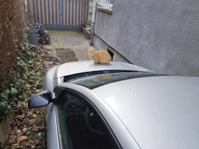 Renault Megane, снимка 7