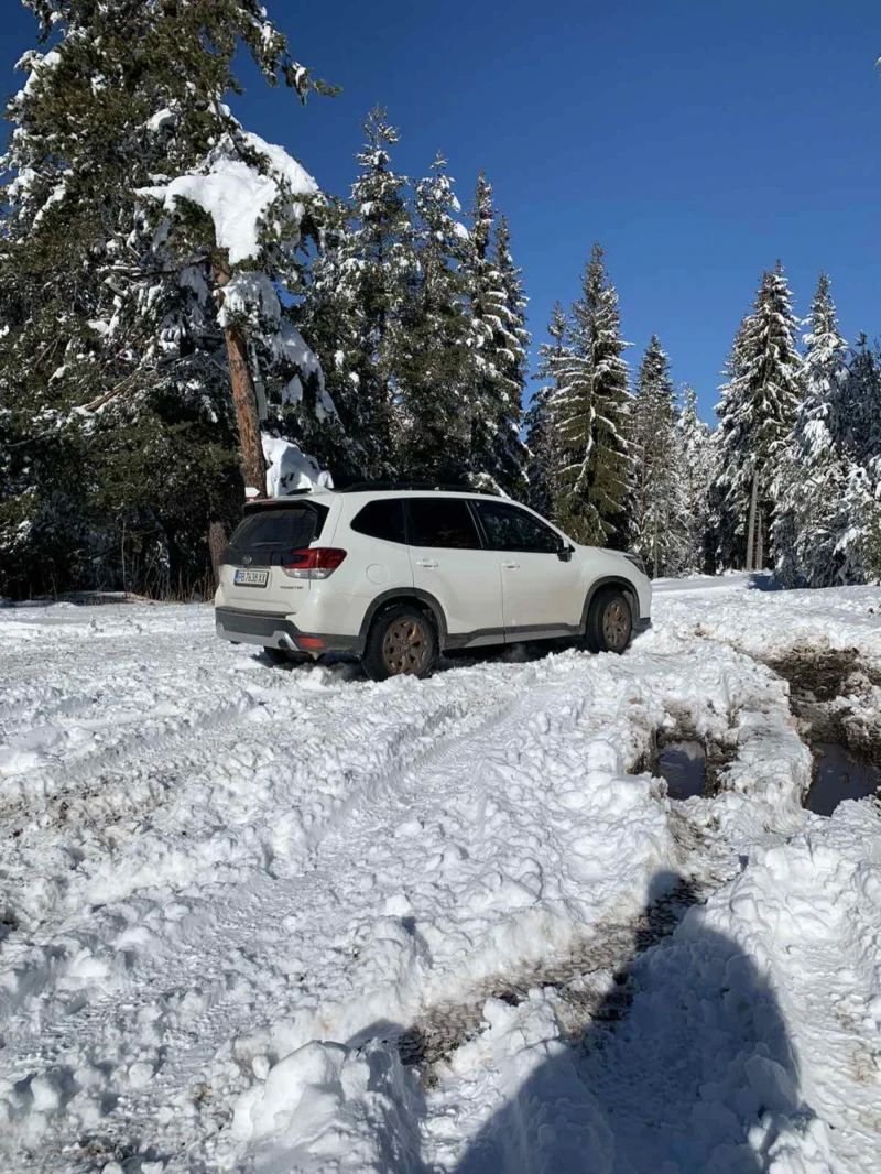 Subaru Forester, снимка 3 - Автомобили и джипове - 48284544