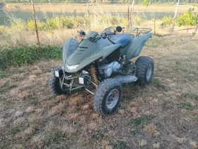     ADLI 300