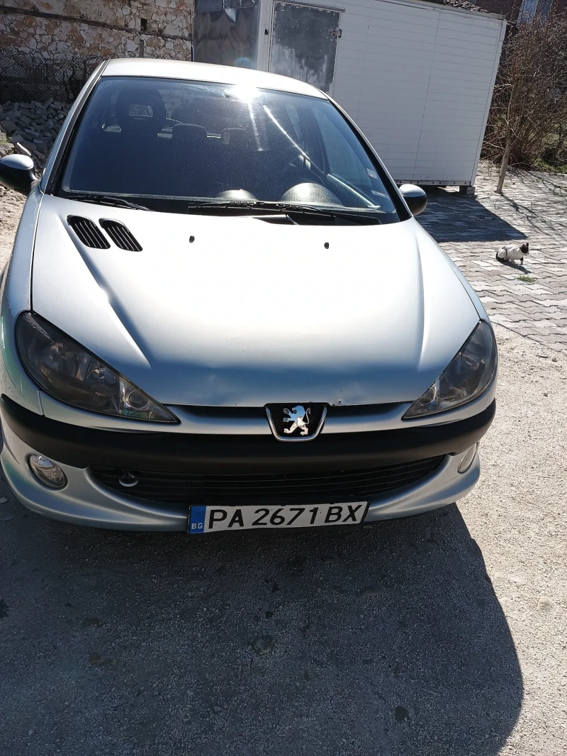 Peugeot 206 2.0 HDI